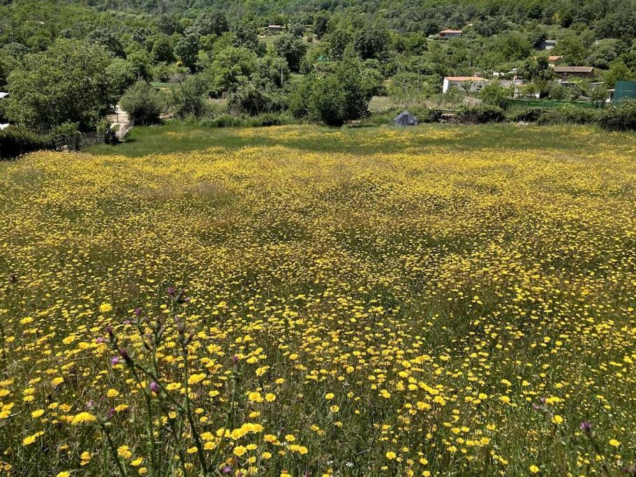 Atico Mirador Del Pielago El Real de San Vicente Dış mekan fotoğraf